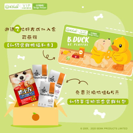 Petseek 小黄鸭合作款拉杆方包