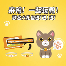 加菲猫8寸浅盘（普通盒）